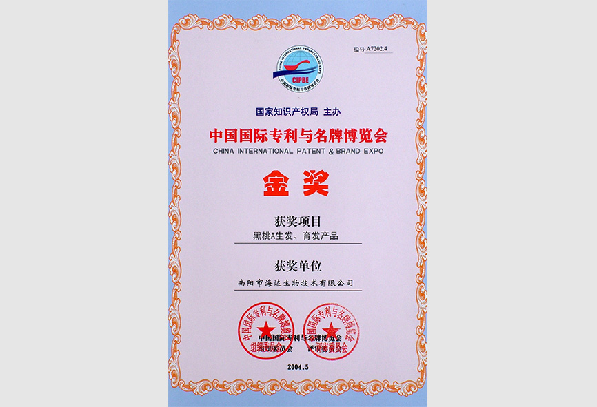 中國國際專利與名牌博覽會金獎